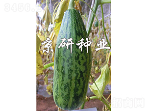 ����Ƥ��-��ϷN��-���зN�I(y��)