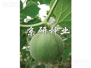 ����G��-��ϷN��-���зN�I(y��)