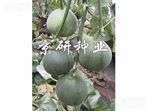 ����G��3̖(h��o)-��ϷN��-���зN�I(y��)