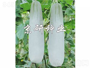 ������Ǵ�-��ϷN��-���зN�I(y��)