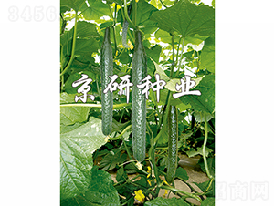 ����107-�S�ϷN��-���зN�I(y��)