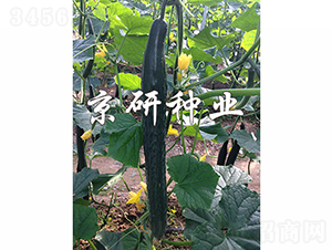 ���S459-�S�ϷN��-���зN�I(y��)