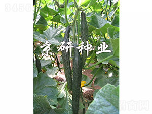 ���S320-�S�ϷN��-���зN�I(y��)