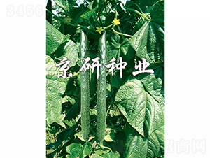 ����403-�S�ϷN��-���зN�I(y��)