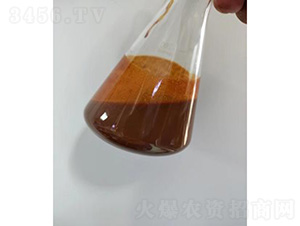 內(nèi)蒙氨基酸液-灃瑞生物