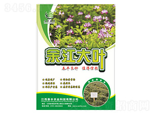 余江大葉-春豐農(nóng)業(yè)