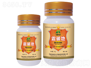 ���Ƶ�-��������