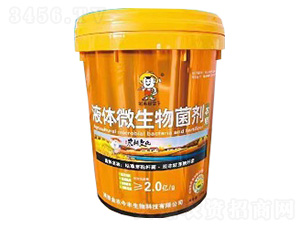 Һ�w΢�������-���r(n��ng)���S