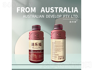 �A���{(di��o)��(ji��)��-�Ϙ�(l��)��-�Ϙ�(l��)��