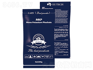 �������⛣��ۄ���-�Ϙ���