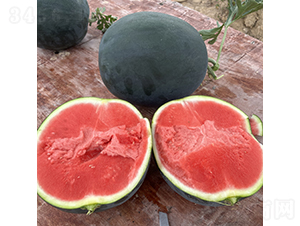 ����-���ϷN��-��������