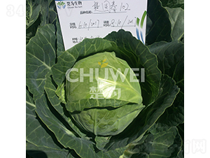 ���A��102-���{(l��n)�N��-��������