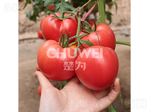 ����8A05-���ѷN��-��������