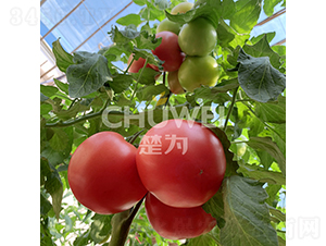 ����8A09-���ѷN��-��������