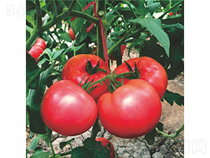 ϣΨ��191-���ѷN��-��������