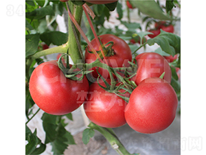 ����970-���ѷN��-��������