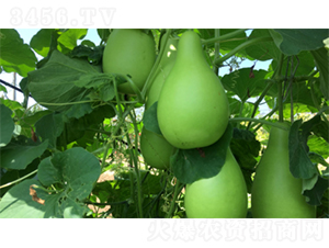 �����A�1̖-�����J�N��-�����N�I(y��)