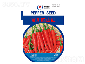 ����ӳɽ�t-�����N��-�����N�I(y��)