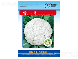 ѩ��2̖-�ɻ��˷N��-�����N�I(y��)