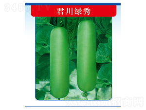 �����G��-�����J�N��-�����N�I(y��)