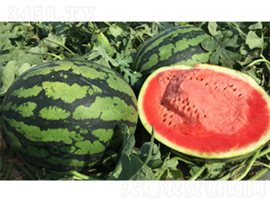 ����3̖(h��o)-���ϷN��-�����N�I(y��)