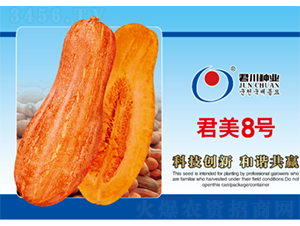 ����8̖-�ϹϷN��-�����N�I(y��)