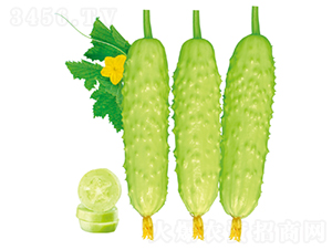 �������-�S�ϷN��-�����N�I(y��)