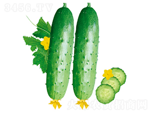 ����(y��u)103-�S�ϷN��-�����N�I(y��)