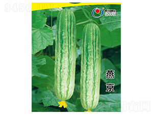 �ྩ-�S�ϷN��-�����N�I(y��)