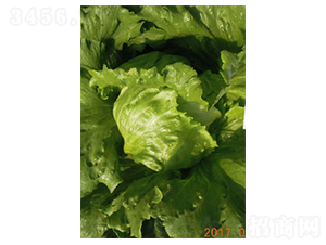 �ʼ�2̖-���˷N��-�����N�I(y��)