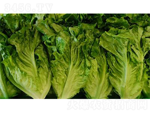 ʥʿ5̖-���˷N��-�����N�I(y��)