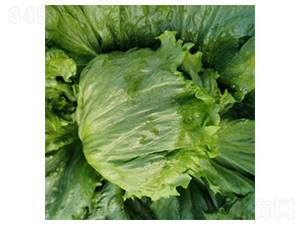 ����ɪ��-���˷N��-�����N�I(y��)