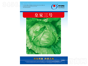 �ʼ���̖-���˷N��-�����N�I(y��)