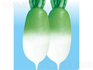 ��������-�}���N��-�����N�I(y��)