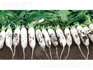 ��������3̖(h��o)-�}���N��-�����N�I(y��)