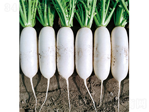 �������-�}���N��-�����N�I(y��)