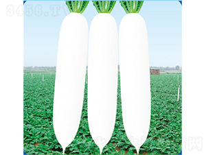 ��������-�}���N��-�����N�I(y��)