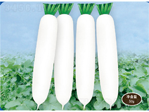 ��������2̖-�}���N��-�����N�I(y��)