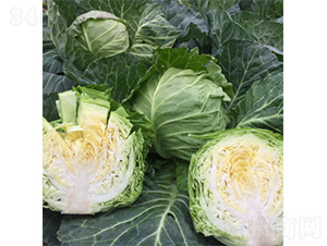 �����G���-���{�N��-�����N�I(y��)