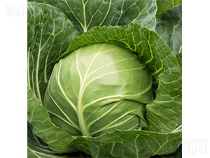 ��������-���{�N��-�����N�I(y��)