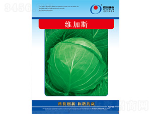 �S��˹-���{�N��-�����N�I(y��)