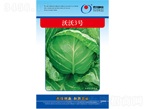 ����3̖-���{�N��-�����N�I(y��)