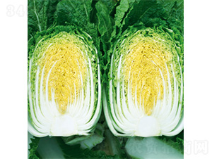 �����S-�ײ˷N��-�����N�I(y��)