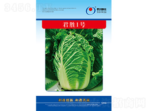 ����1̖(h��o)-�ײ˷N��-�����N�I(y��)