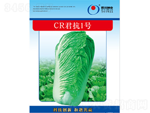 CR����1̖(h��o)-�ײ˷N��-�����N�I(y��)