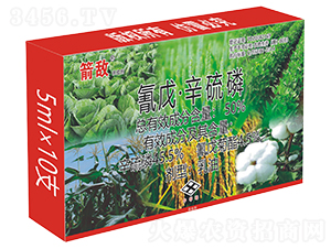 50%���졤����������-����-����