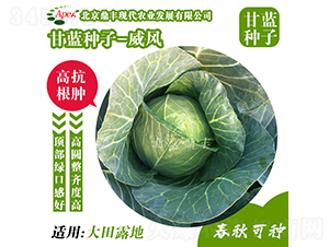 ���L(f��ng)166-���{(l��n)�N��-���S�r(n��ng)�I(y��)