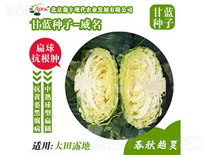 ����177-���{(l��n)�N��-���S�r(n��ng)�I(y��)