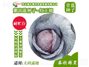 �t����-���{(l��n)�N��-���S�r(n��ng)�I(y��)