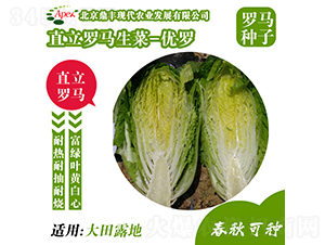 ��(y��u)�_-���˷N��-���S�r(n��ng)�I(y��)